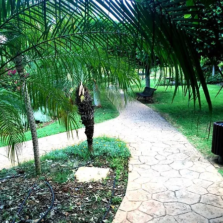 Apartamento Puerto Banus Luxury Penthouse Marbella